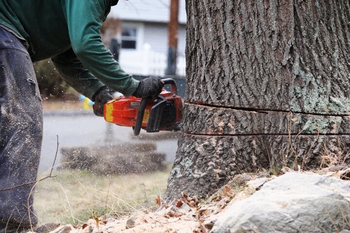 Man cutting tree trunk with chainsaw in a residential area