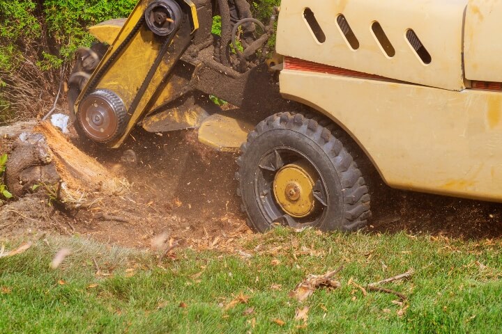 A stump is shredded with removal, grinding in the stumps and roots