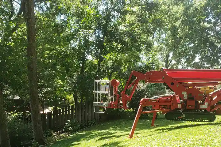 Accurate Tree Service tractor in backyard near green grass and trees