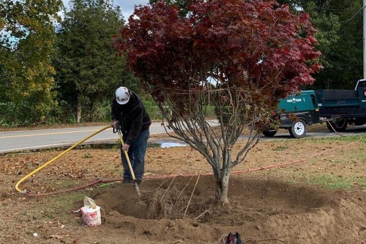 Man performing air spading service at roots of tree