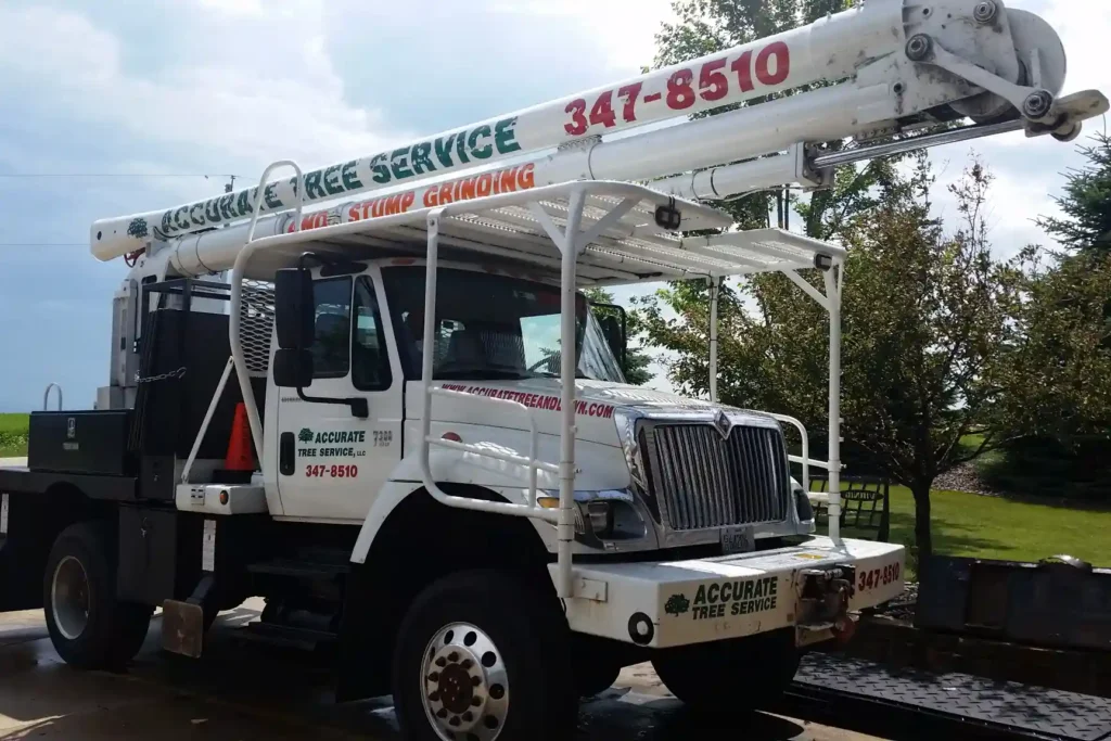Accurate Tree Service and Stump Grinding bucket truck