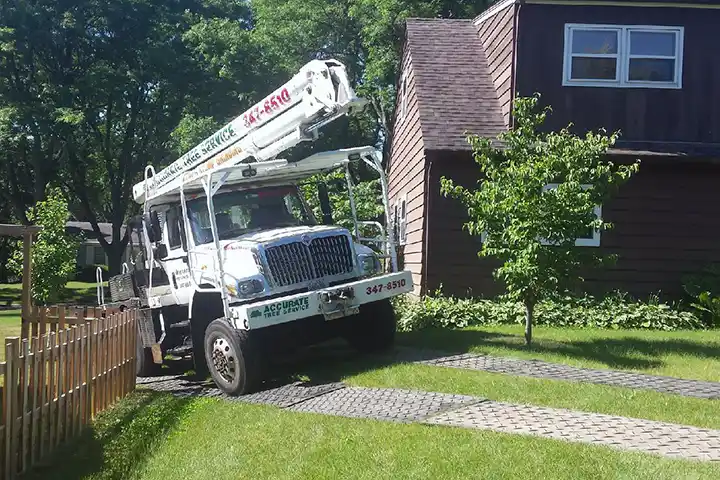 Accurate Tree Service truck in residential backyard
