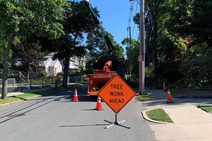 Road Work Ahead sign blocking the road where tree removal is taking place