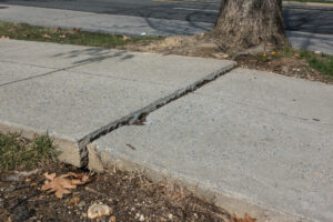 Tree root bulging through sidewalk causing cracks and damage