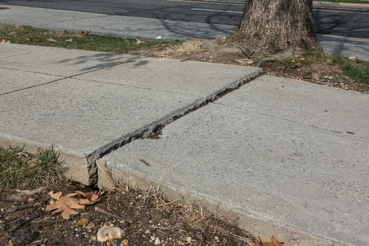 Tree root bulging through sidewalk causing cracks and damage