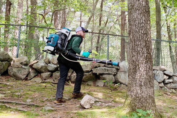 Man spraying a large tree for pest and disease control