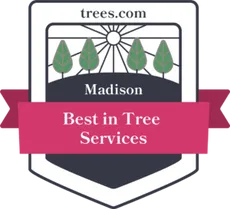 Best in Tree Services Madison WI