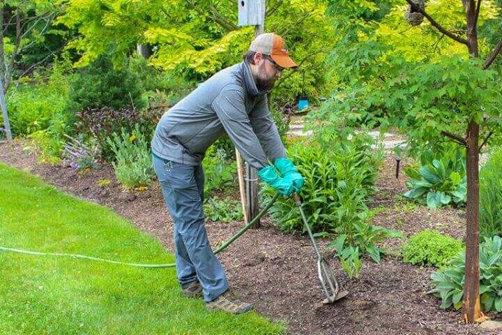 Arborist performing plant healthcare services by Accurate Tree Services + H&H Arborists in the Greater Madison, WI