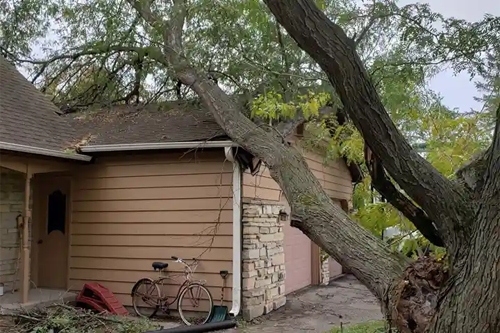 Large tree branch fallen on a home roof