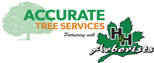 Accurate Tree Services + H&H Arborists logo