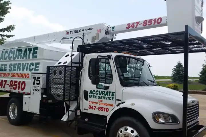 Accurate Tree Services service truck parked in Meadows