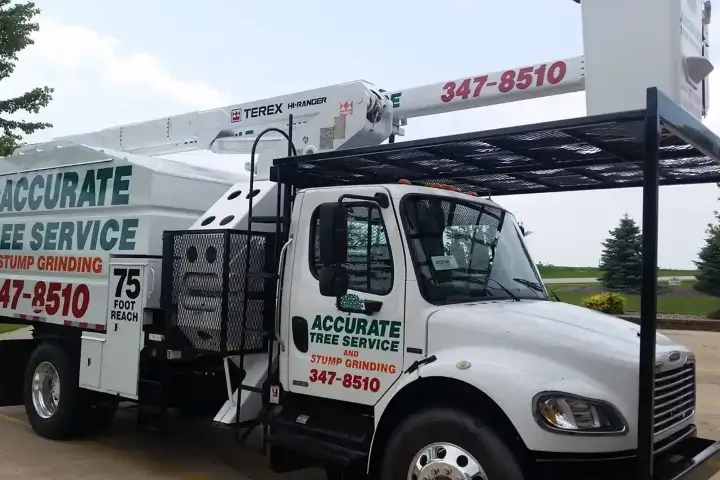 Accurate Tree Services service truck parked in Dunn's Marsh