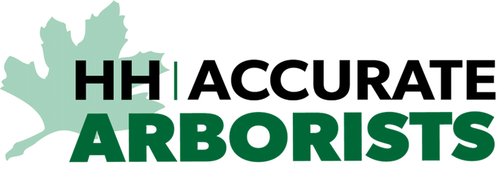 H&H Accurate Arborists Logo